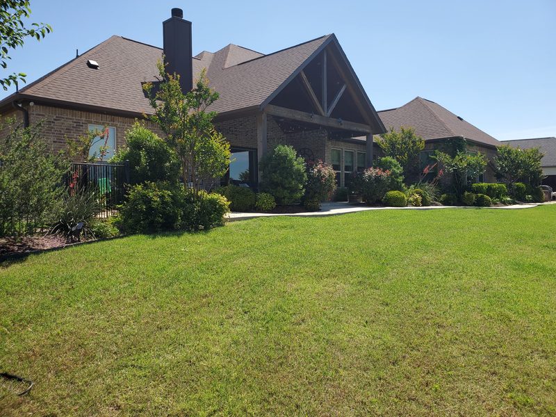 Mulch beds with crape myrtles