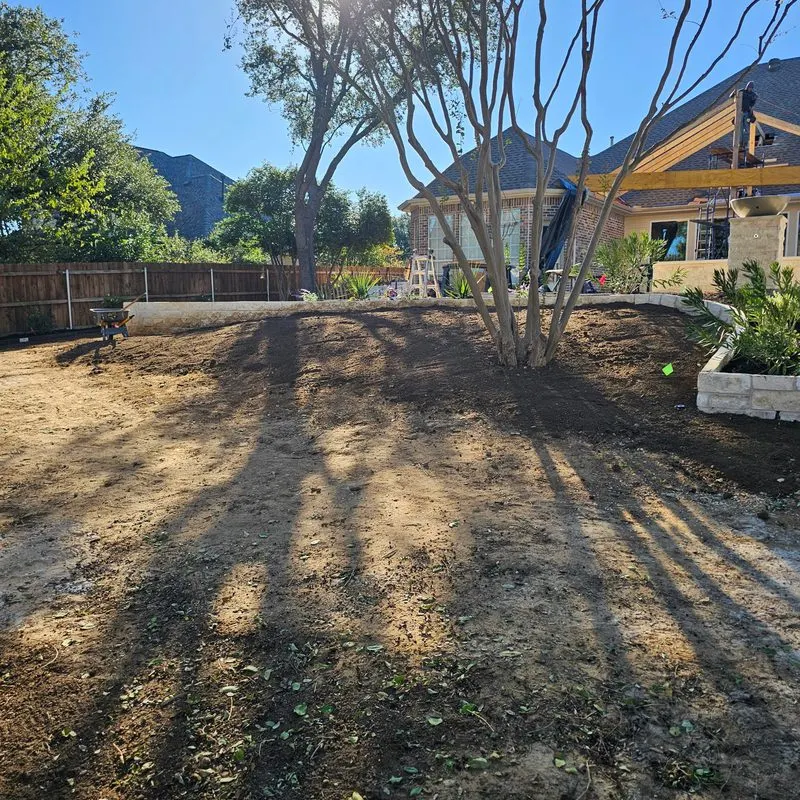 Backyard before landscaping