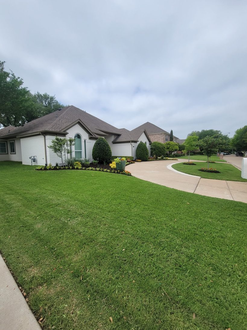 Front yard with seasonal plantings and shaped shrubs