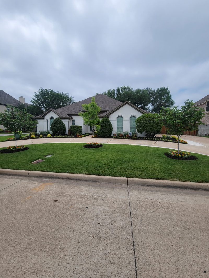 Manicured front yard with seasonal color