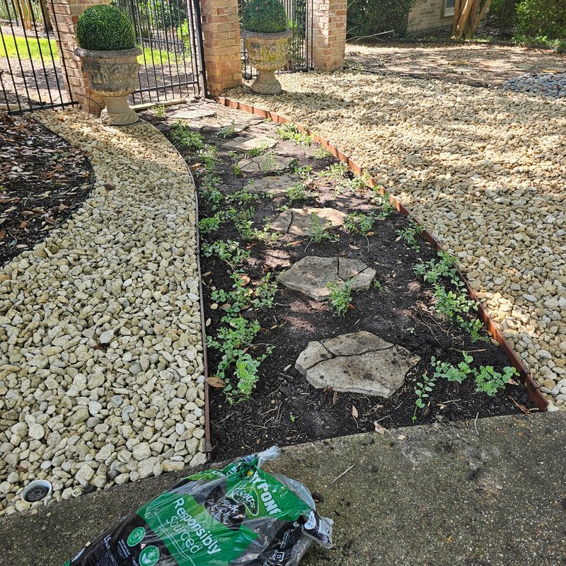 Stone path with gravel ground cover