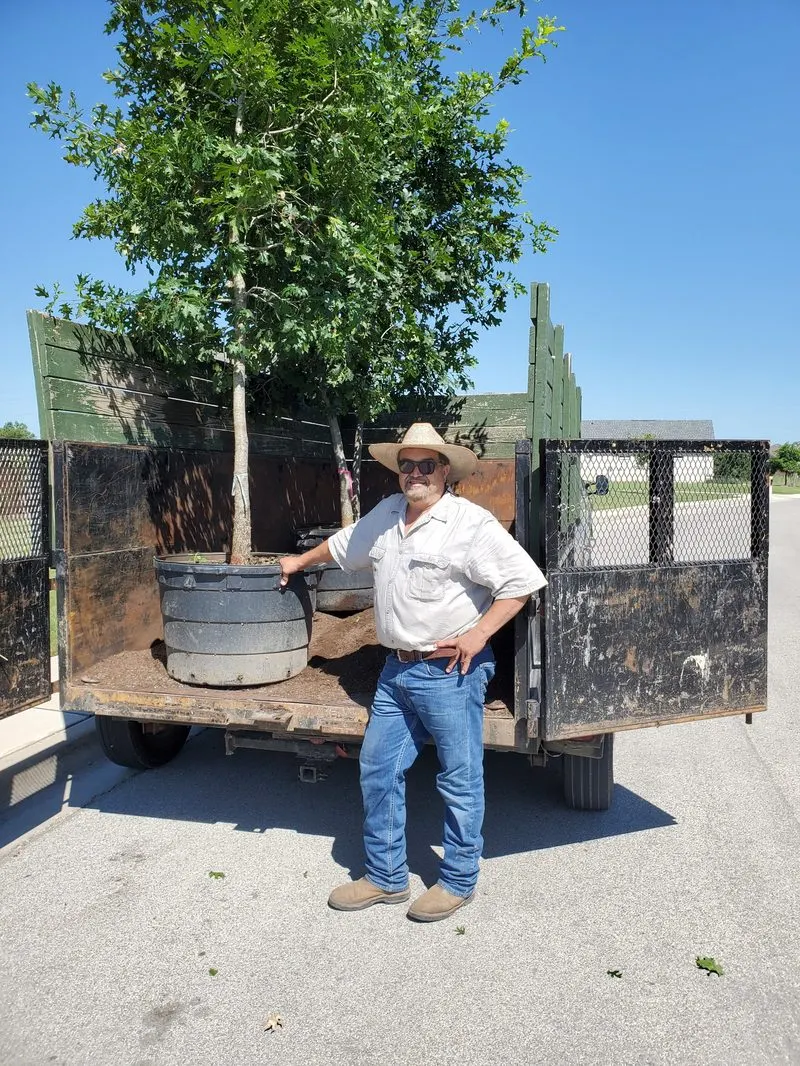 Jose Molina, owner of Tony's Lawn & Tree
