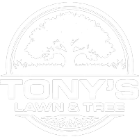 Tony's Lawn & Tree