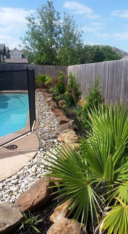Pool area with boulders and palms