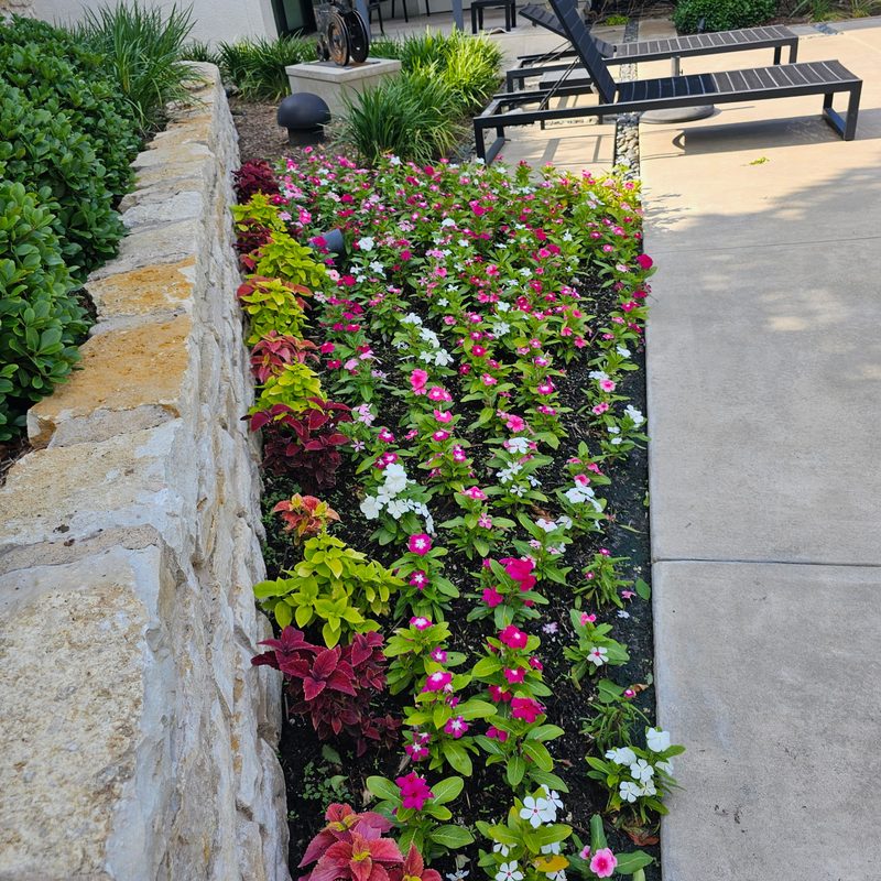 Seasonal flower bed with stone wall